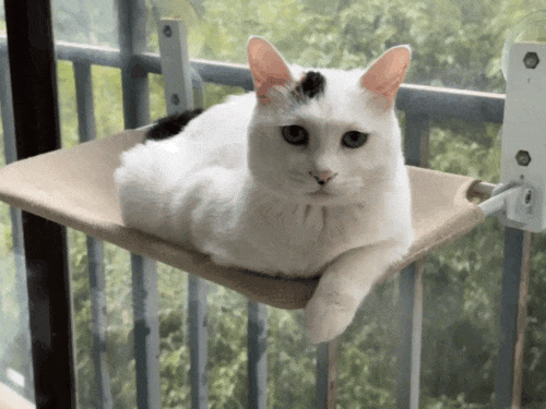 a3.gif